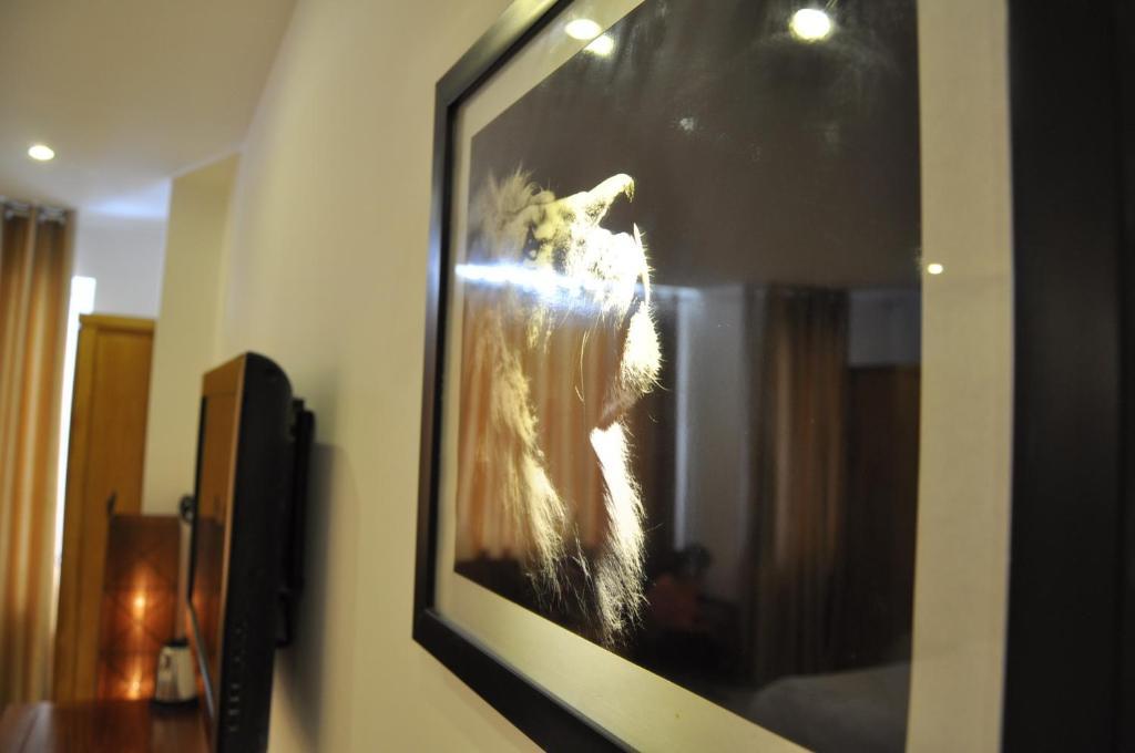White Lion Hotel 芽庄 客房 照片